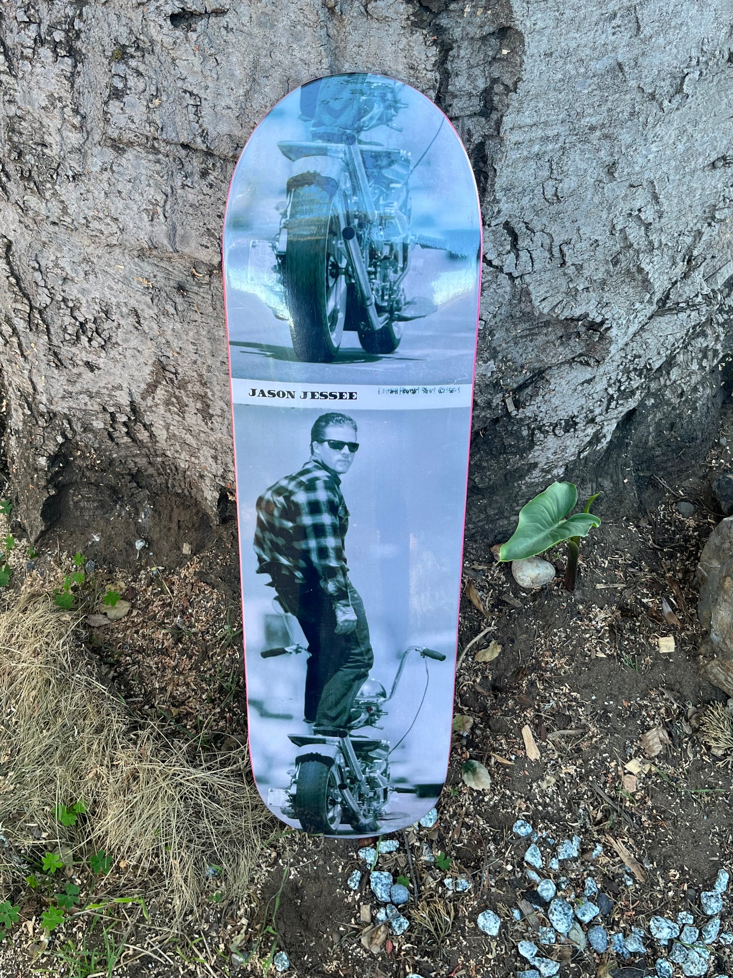 J. Jessee 1993 look at me please Deck